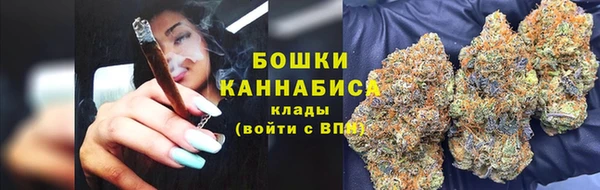 PSILOCYBIN Касимов